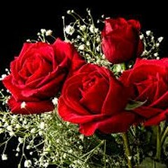 yung lean roses