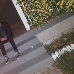 Artificial Flora - Stereo Choices (demo)