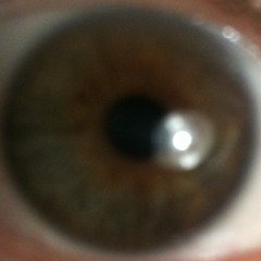 PurplePunchline - 03