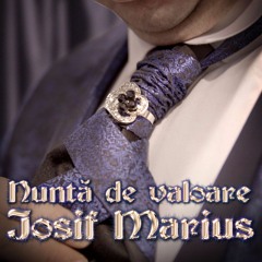 Josif Marius - Nuntă De Valoare (Sebastian Gudding Remix)