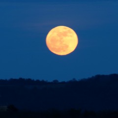 Frühlingsvollmond