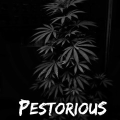 Pestorious