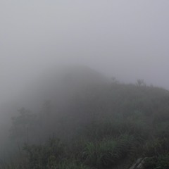 KK17177941 Tai Kam Chung In Rain 雨下的大金鐘