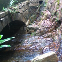 KK05536510 Pokfulam Stream 薄扶林石澗流水