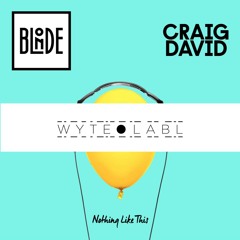 Blonde Feat Craig David - Nothing Like This (WYTE LABL REMIX)