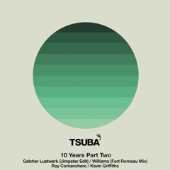 PREMIERE: Williams - Pinball (Fort Romeau Mix) [Tsuba]