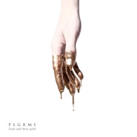 PLGRMS - Fools And Their Gold
