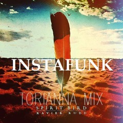 INSTAFUNK feat. Xavier Rudd - Spirit Bird ( TORIANNA MIX )