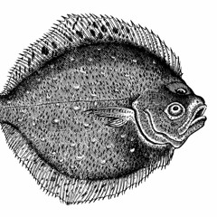 Vissien Eten vs. Tsunami