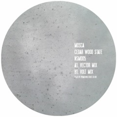 Mosca "Cedar Wood State (Volt Mix)" - Boiler Room Debuts