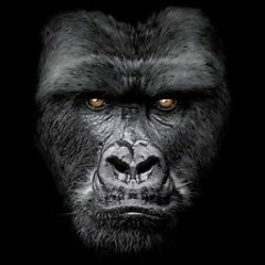Egosystem: "Gorilla Under Attack"