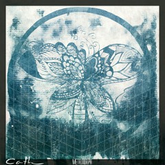 Cath -  I don't blame it on you | Bass Music