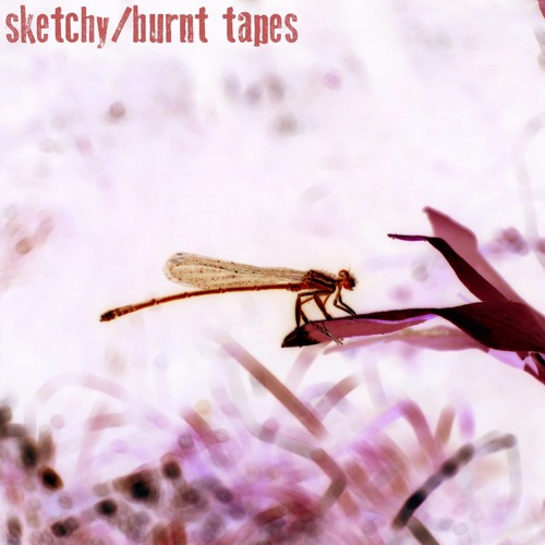 Sketchy / Burnt Tapes split