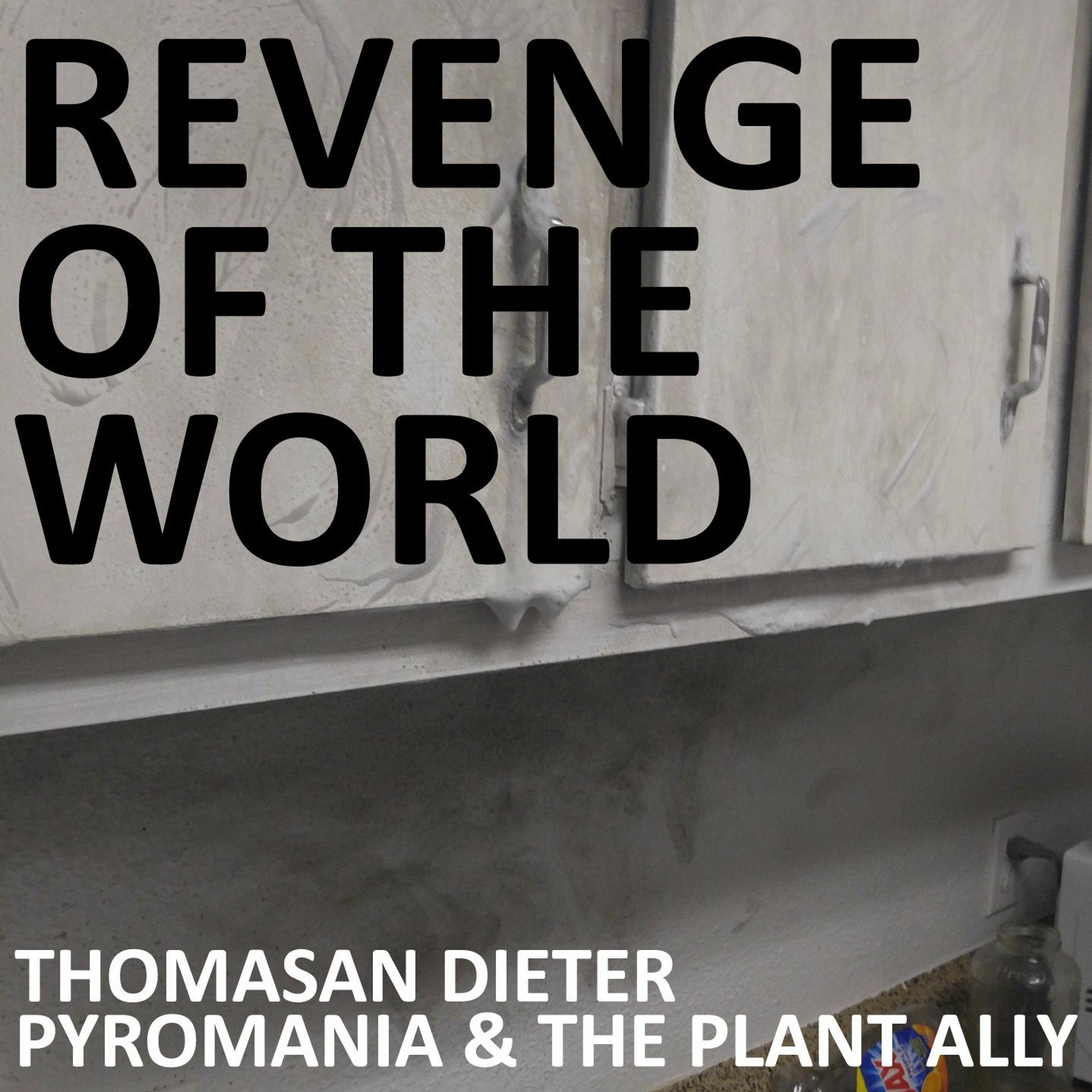 EPISODE 65 - PYROMANIA & THE PLANT ALLY WITH THOMASAN DIETER episode artwork
