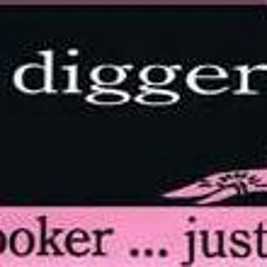 GOLD DIGGA'S FT. RCTHEGURU & SPADE