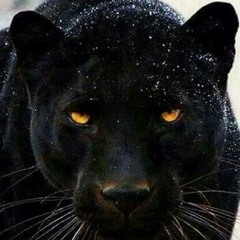 No More Lies M2_2.mp3