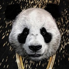 Panda Remix Feat. BN & Crawler
