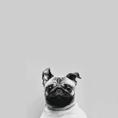 Solar Coaster Remix 2010 - DJ Sawmackjack