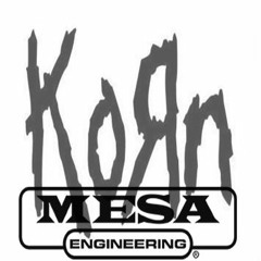 KoЯn - Y'all wanna Single - Mesa Rectifier - Kemper Profiling Amp