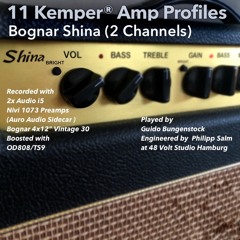 Kemper Amp Profiles of the Bognar Shina