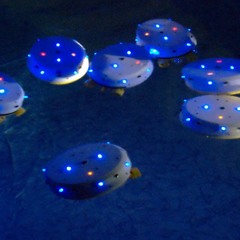 Gammar - Mikroschwarm