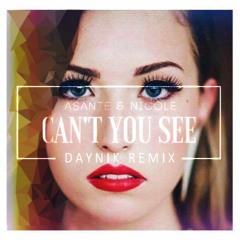 Can't You See (Daynik Remix)