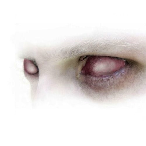 Ju Tpk - Darktribe!