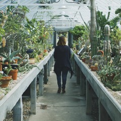 Filene Fill-In Episode 2: New Ideas, Cooperative Innovation and Cool Socks