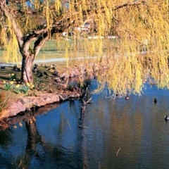 O Savior, Be With Us