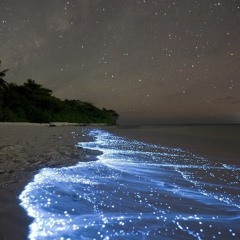 Waves