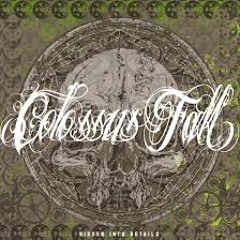 Colossus Fall - The Errorist