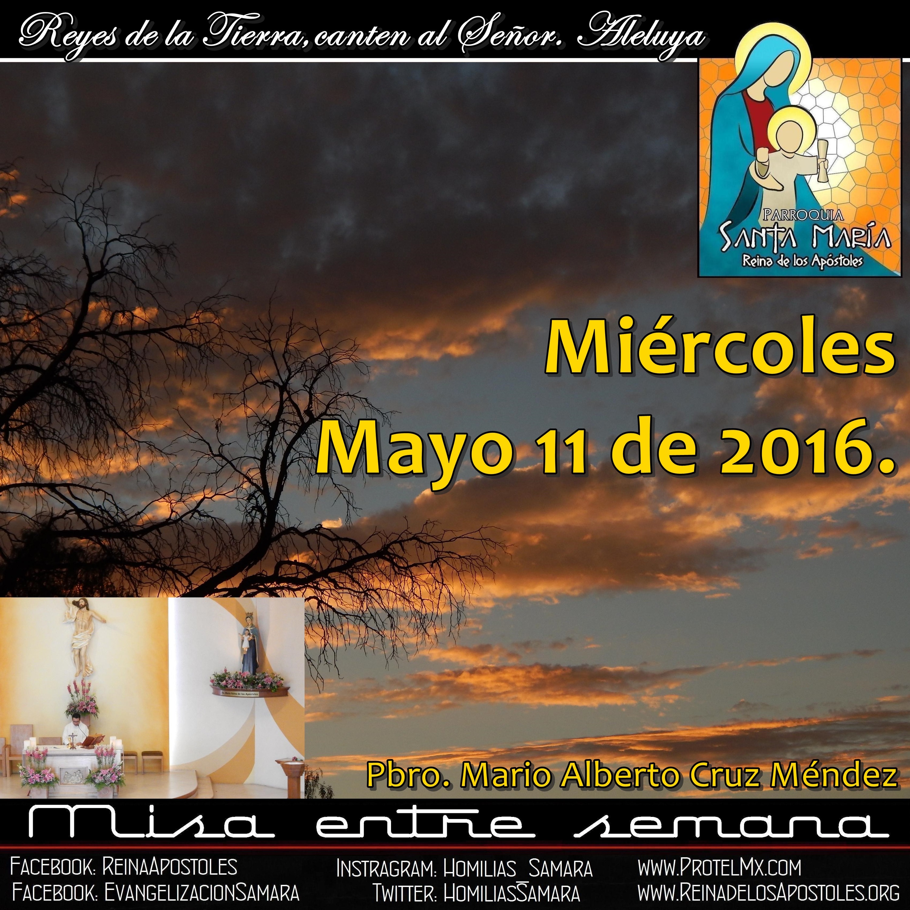 SAMARA_Saltillo #2019