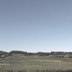 The Dandelion Council - Heartland TV Special