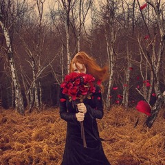 Ein Herbstmorgen Träume Ich Von Einer Rose