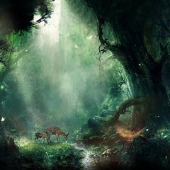 Al's Grove