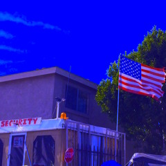 Paranoid American                      by Duckfoot Johnson ©2011