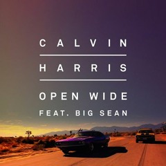 Calvin Harris feat. Big Sean - Open Wide (Mr. Black Bootleg vs. T.R. Radio Edit)