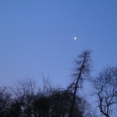 Adam And Eve - Wudec