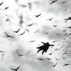 Birds, Reincarnate - for String Quartet