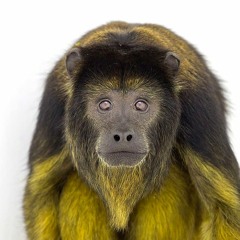 A Chase Through The Car Park