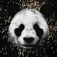 Panda Remix Ty-James Ft. Honco JTommy & LO$O