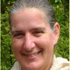 Diane Denis - "The Structure of the Dharmadharmatāvibhāga and kārikā (DhDhVK)."