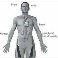 MR.FREESTYLE - im a man FT JOE.mp3