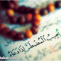 الله ودود - الشعراوي