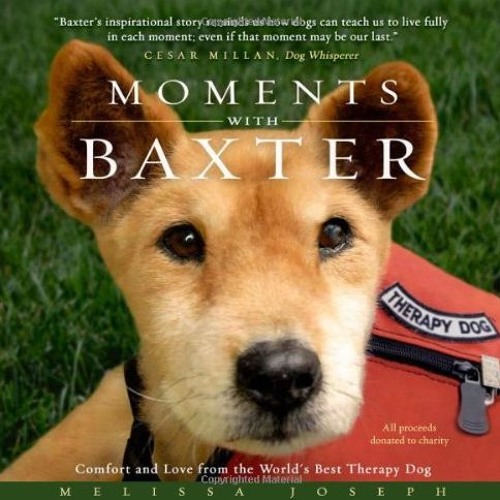Moments With Baxter: Comfort and Love from the World s Best Therapy Dog download pdf