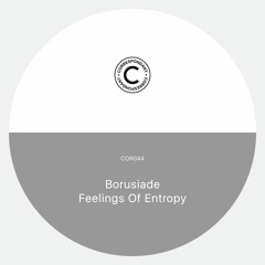 PREMIERE: Borusiade - Feelings Of Entropy [Correspondant]
