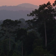 Dawn in Khao Yai National Park, Thailand