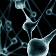X-Magic - Neurogenesis (Prev)