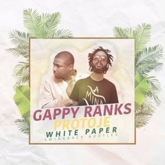 Gappy Ranks X Protoje - White Paper (dubshot RMX)