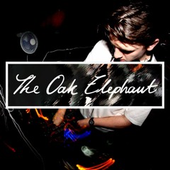 OE: Palizé - Bassline Mix [12.05.16]